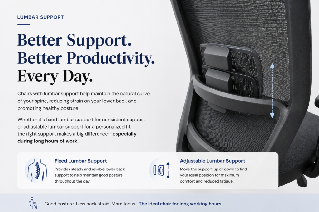 e666 lumbar support 2